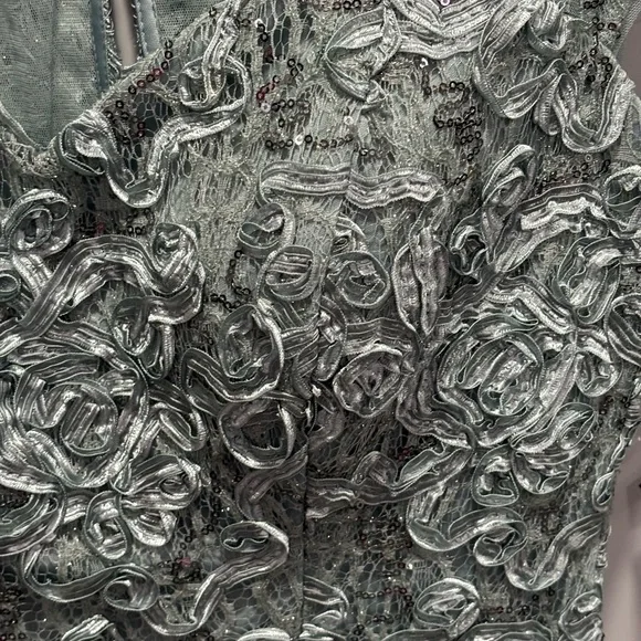 Alex Evenings ELEANOR SWEETHEART NECK DRESS NWT Size 10 Retail $299 - Picture 11 of 11